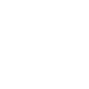 Vendors Icon
